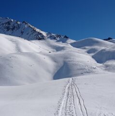 Parte alta con polvere