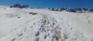 Ancora nuova poca neve rimasta...