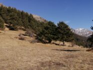 prati comodi per pranzo al  Pineo 
