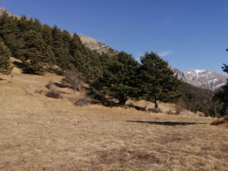 prati comodi per pranzo al  Pineo 