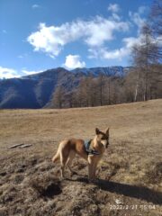  Nina con sfondo della Punta Selassa 