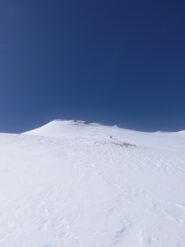 farina dei fra