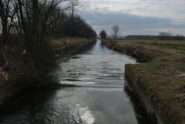 Sul Langosco