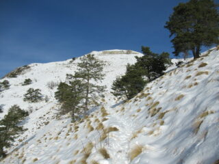 Salita al Monte Grai