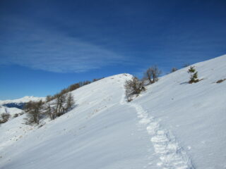 Monte Grai