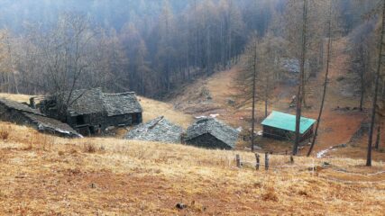 Urtieri