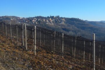 Montà d'Alba
