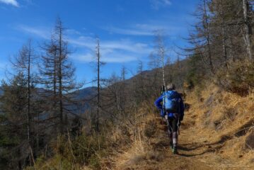 Quasi al bivio per il colle Lunella