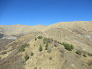 La parte superiore vista da Rocca Mea (m.1305).