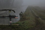 L’arrivo sul sub-diramatore Pavia, nel nebiun della Lomellina