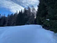 Pendio a dx prima del crinale nel bosco