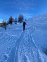 Finito il bosco si aprono pendii magnifici