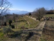 Vigne & sentieri. In lontananza il Monte Gregorio e l'imbocco della VdA.