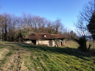 Uscendo dal bosco dopo la cava e prima della panca gigante.