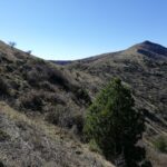 La cima dal traverso all'uscita dal bosco