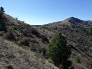 La cima dal traverso all'uscita dal bosco