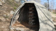carbonaia
