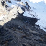 la breve sezione alpinistica a monte il colletto della Balma laggiu' al sole..