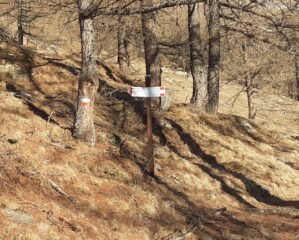 Bivio per il Vallone Alpetta 
