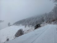 Verso Alpe Belvedere