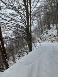 Lungo la carrozzabile innevata