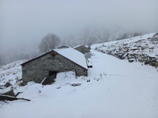 Alpe Restret (1474 m)