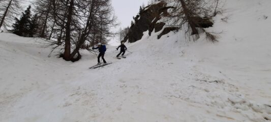 nel bosco su neve compattata dai passaggi