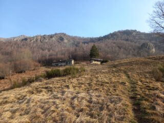 Salendo verso il bosco