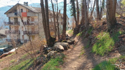 ingresso in Mezzenile da single track