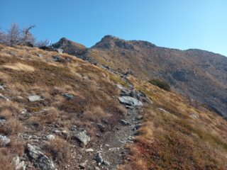 In vista della cima