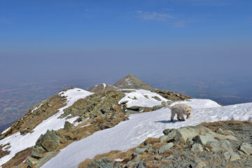 La lunga dorsale verso la Besimauda