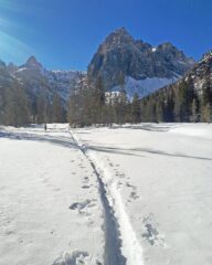 Traccia verso il Monte Mattina