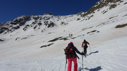 Nella combe des marmottes