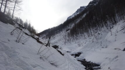 Vallone di Almiane dal ponte su Rio omonimo