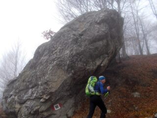 un caratteristico roccione sul percorso 