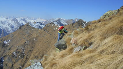 E c'è chi taglia su dritto...