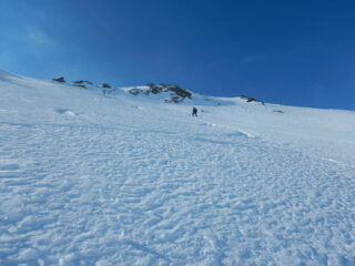 splendida neve
