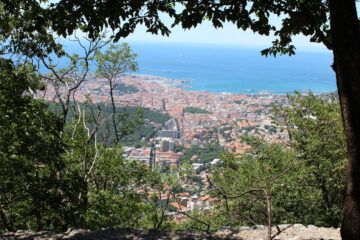 Trieste dal M.te Calvo