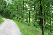 L'inizio del percorso