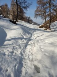 Nel valloncello

