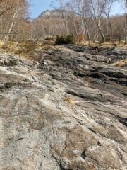 Sentiero di pietra (meglio del bosco) 