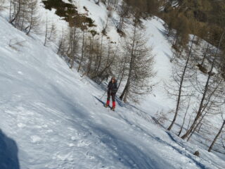 nel tratto delicato sopra Alp. de Bois