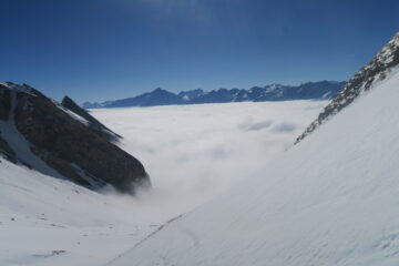 fuori dalla nebbia