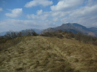 Monte Alpe Ovest (m.1027)