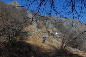 Al colletto dell'Alpe Tourn