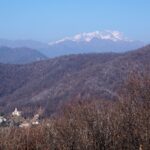 Il Rosa dal Motto della Capretta.