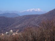 Il Rosa dal Motto della Capretta.