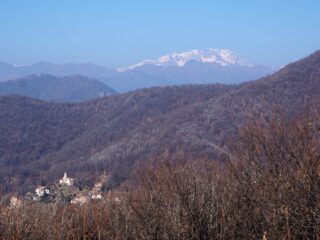 Il Rosa dal Motto della Capretta.