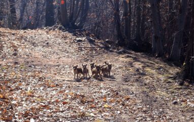 Da piccoli sono anche carini!
