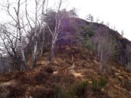 Sulla dorsale verso la Cima.